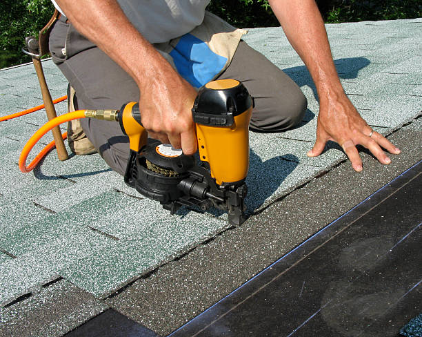 Best Roof Repair Services  in Myrtle Grove, FL