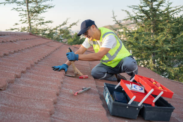 Best Metal Roofing Contractor  in Myrtle Grove, FL