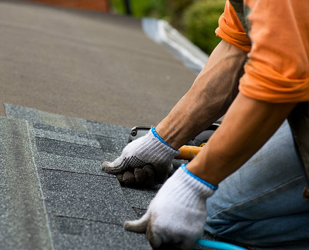 Best Gutter Installation and Roofing  in Myrtle Grove, FL